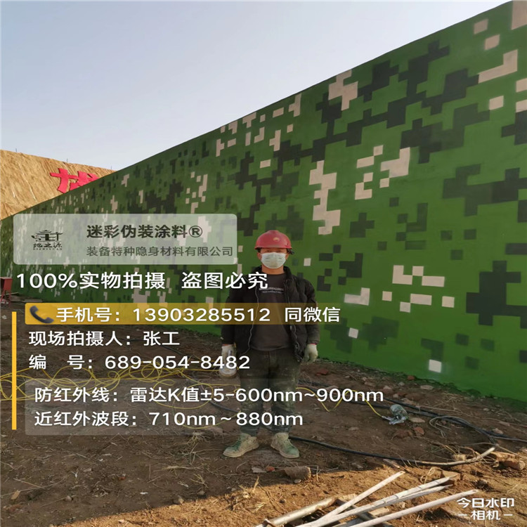 随州外墙迷彩漆施工注意事项(通用 + 数码专属)